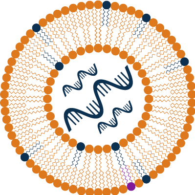 HW220318 Lipid Nanoparticles Development Europe Summit logo (1)