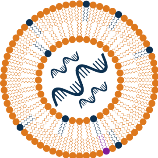 https://lipid-nanoparticle-development-europe.com/wp-content/uploads/sites/809/2022/06/cropped-HW220318-Lipid-Nanoparticles-Development-Europe-Summit-logo-1.png